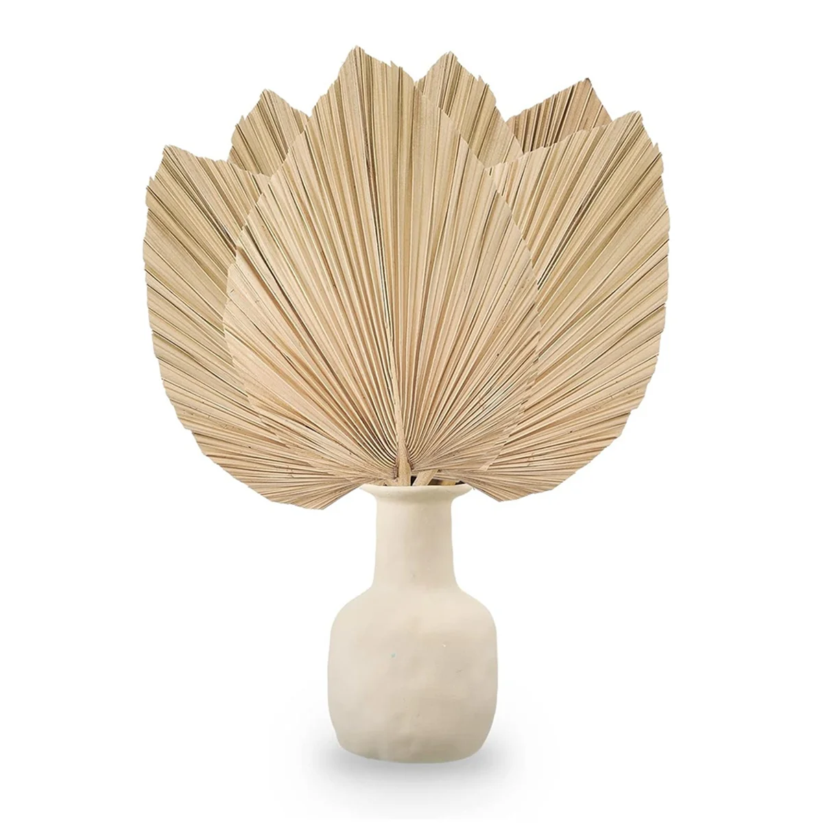 Meilleurs 6 pièces feuilles de palmier séchées ventilateurs de palmier séchés naturels, grande lance pour décor de mariage Boho, décoration de feuilles de palmier tropicales S