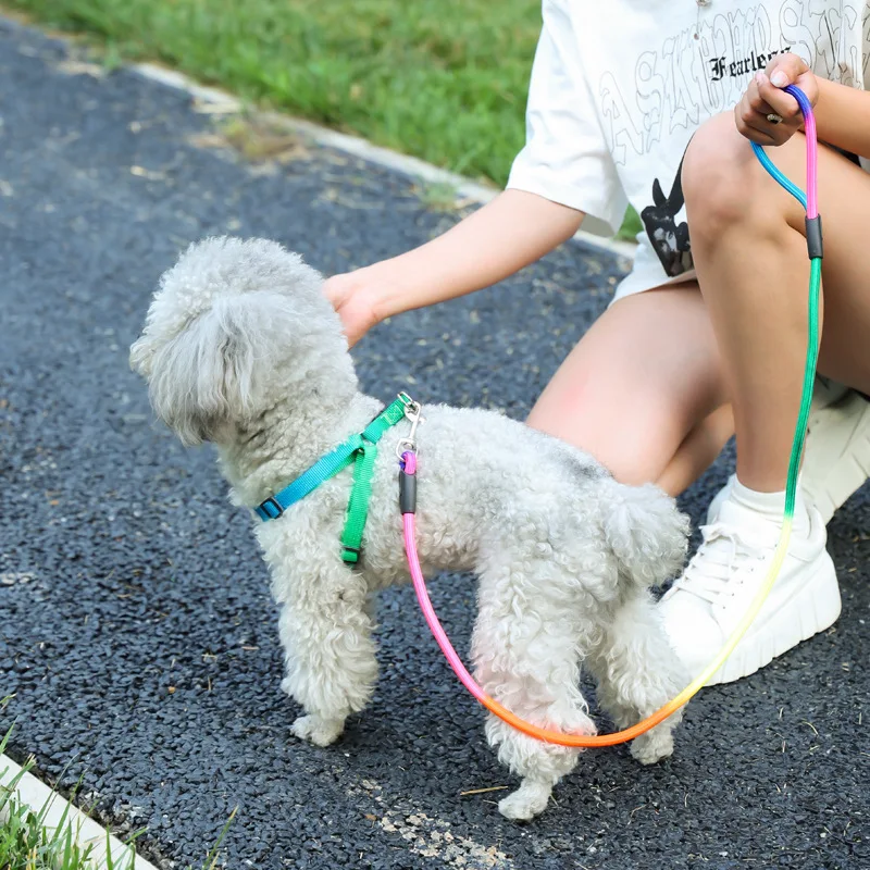 Pet Colorful Round Rope Pet Towing Rope Four Seasons Universal Cat Dog Towing Rope Cat Towing Strap  Pet Accessories