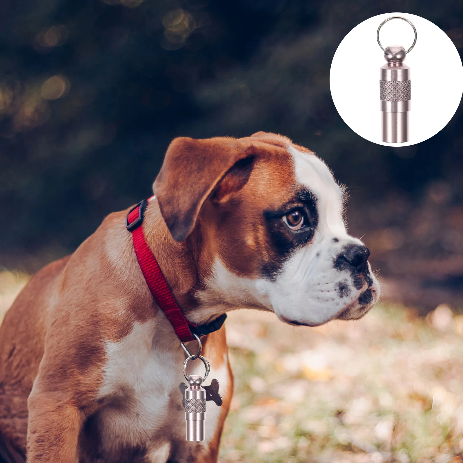

6pcs Pet Id Tag Tubes Anti-Lost Name Address Holder For Dogs Cats Collar Aluminum Lightweight Custom Tags Pet Accessories Dog