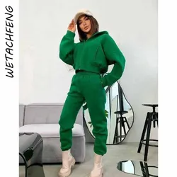 Green Zipper Hooded Two Piece Sets Womens Outfits Winter Fleece Thick Sports Tracksuits Lady 2 Piece Sweatshirts And Pants Suits