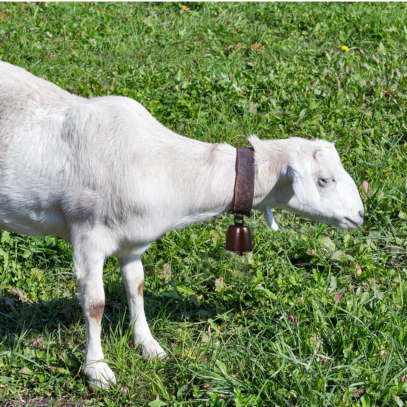 

2Pcs Anti-Lost Pet Bell Electroplated Iron Grazing Bell Loud Clear Sound Durable Lightweight Cow Sheep Horse Farm Supply