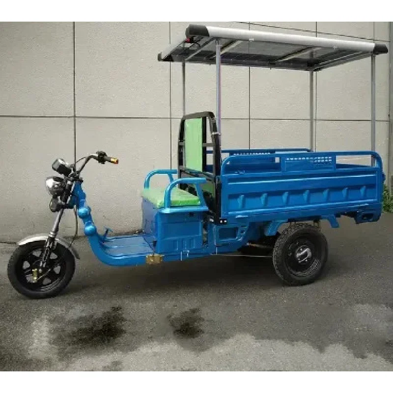 2023년 최고의 안전성과 인기를 자랑하는 60V 1000W 화물용 전기 삼륜차, 최대 적재량, 태양광 발전