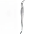 Plata