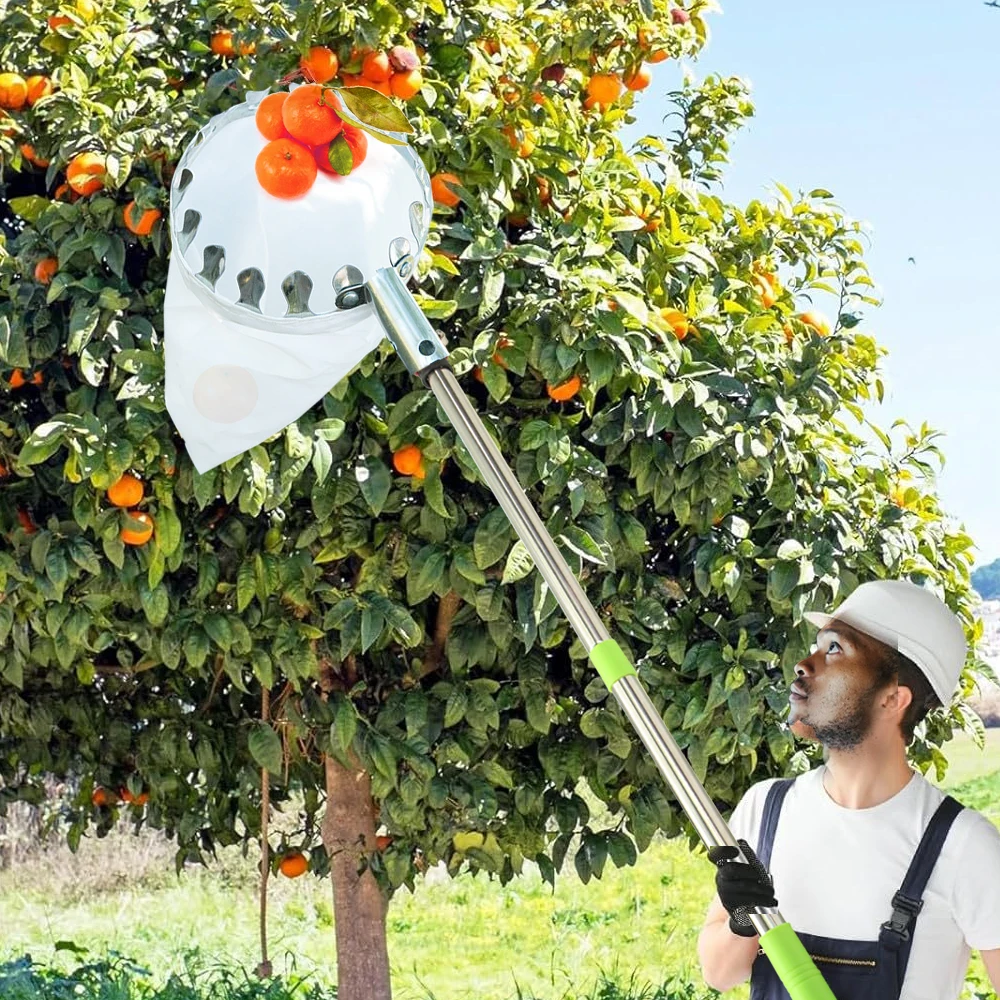 Imagem -05 - Cabeça Picker Frutas com Pólo Telescópico Extensível Cesta de Jardim Colheita de Peras Colheitadeira Alta Altitude Coletor de Frutas Portátil