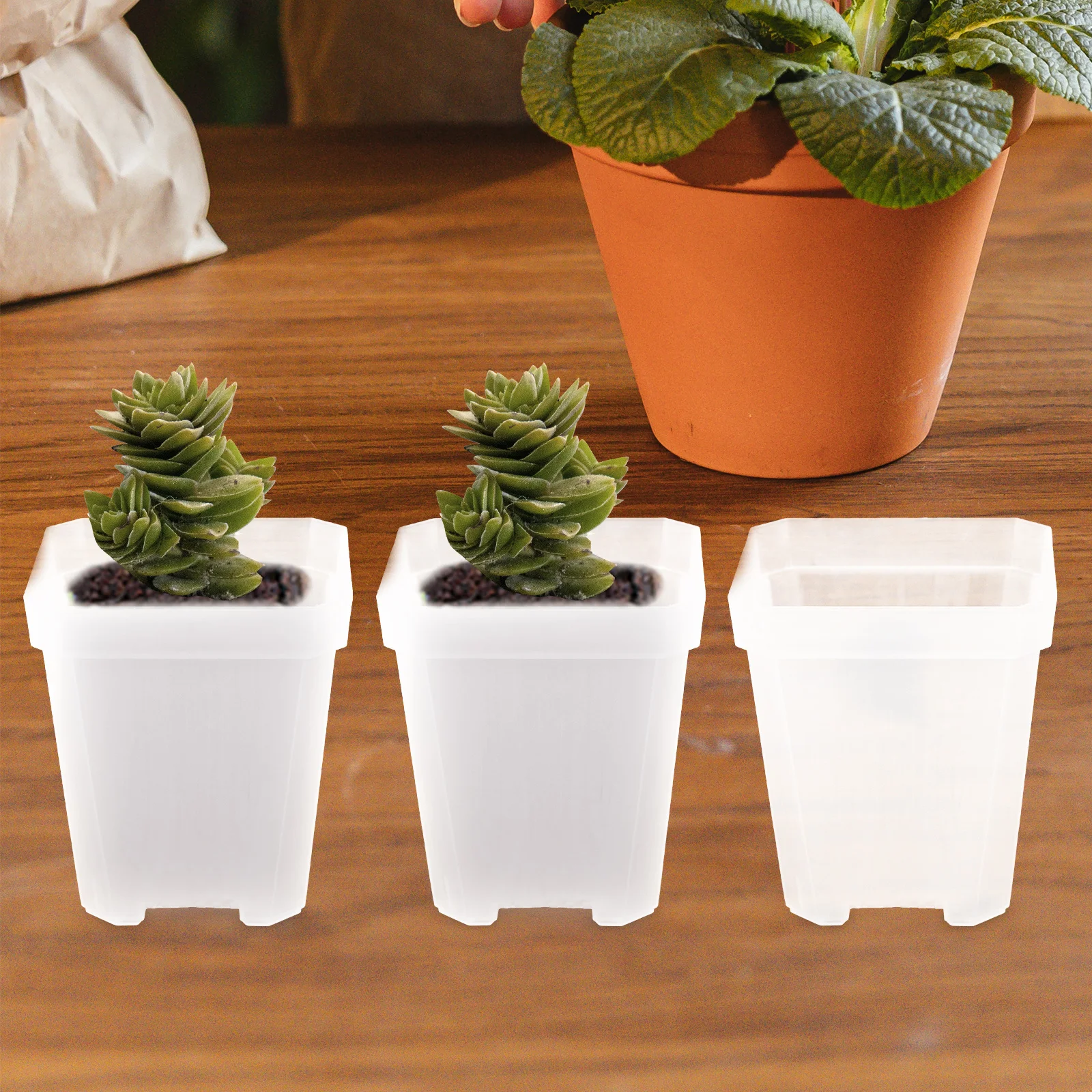 

20Pcs Affordable Sturdy Plastic Plant Pots with Drainage Holes for Indoor and Outdoor Gardening Pots with Drainage Holes