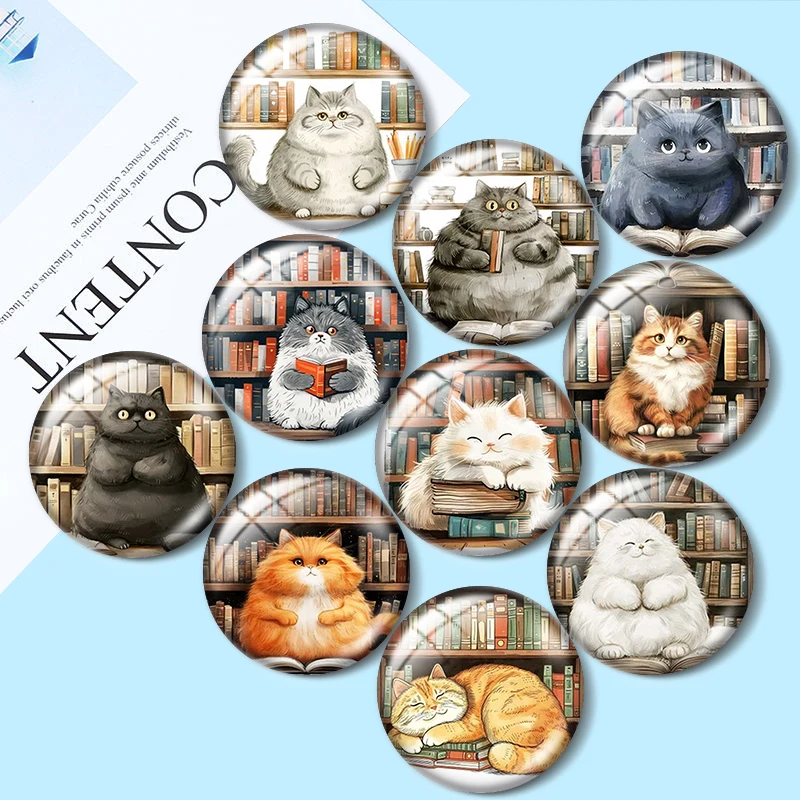 Fat Cat in a Library Clipart 12mm/16mm/18mm/20mm/25mm Round photo glass cabochon demo flat back Making findings keychain