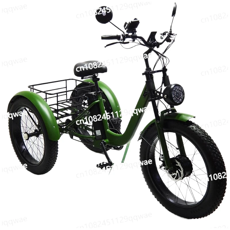 

750W 48V 15AH 24 Inch Fatbike Electric Cargo Bike for Adults Mountain Off Road Powerful Electric Tricycle with Removable Battery