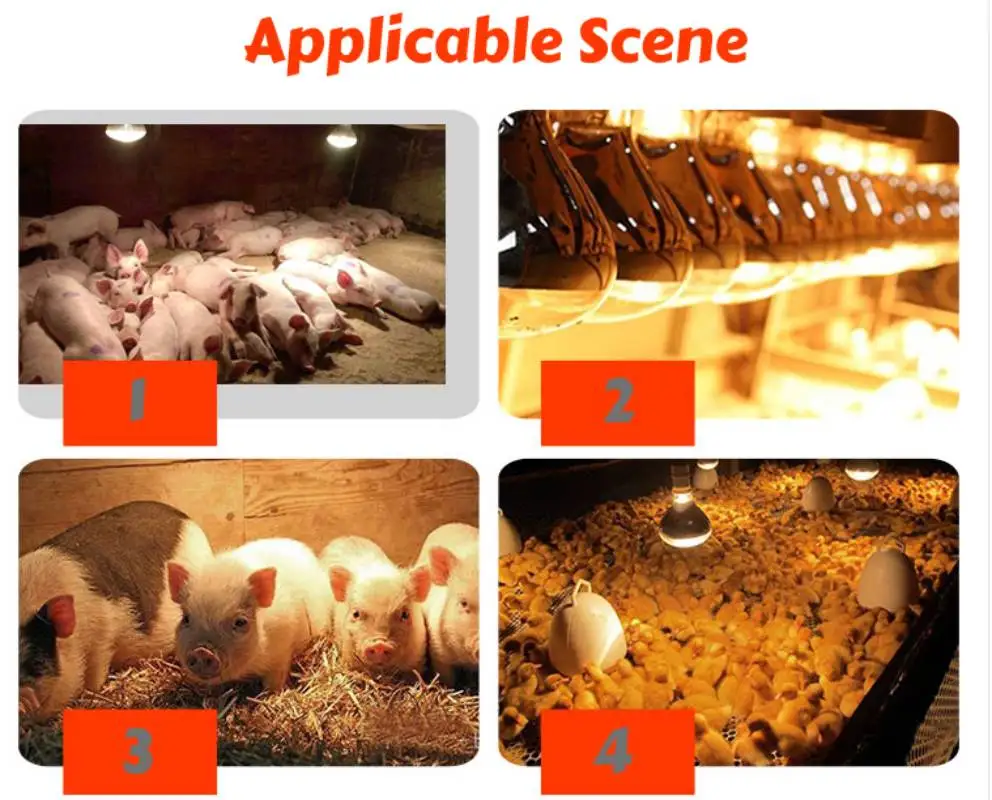 100w/175w Infrared Heat Lamp Waterproof Anti-Explosion Thickened Light Bulbs For Piglet Chicken Birds E27 Small Heat Lamp