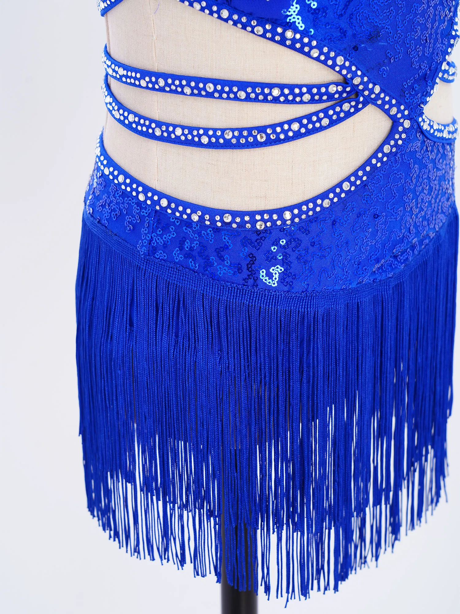 Kid Girls Glittery Sequined Latin Dance Dress Salsa Jazz Tango Dance Sleeveless Ruched Mesh Overlay Bodice Tassel Leotards Dress image 3