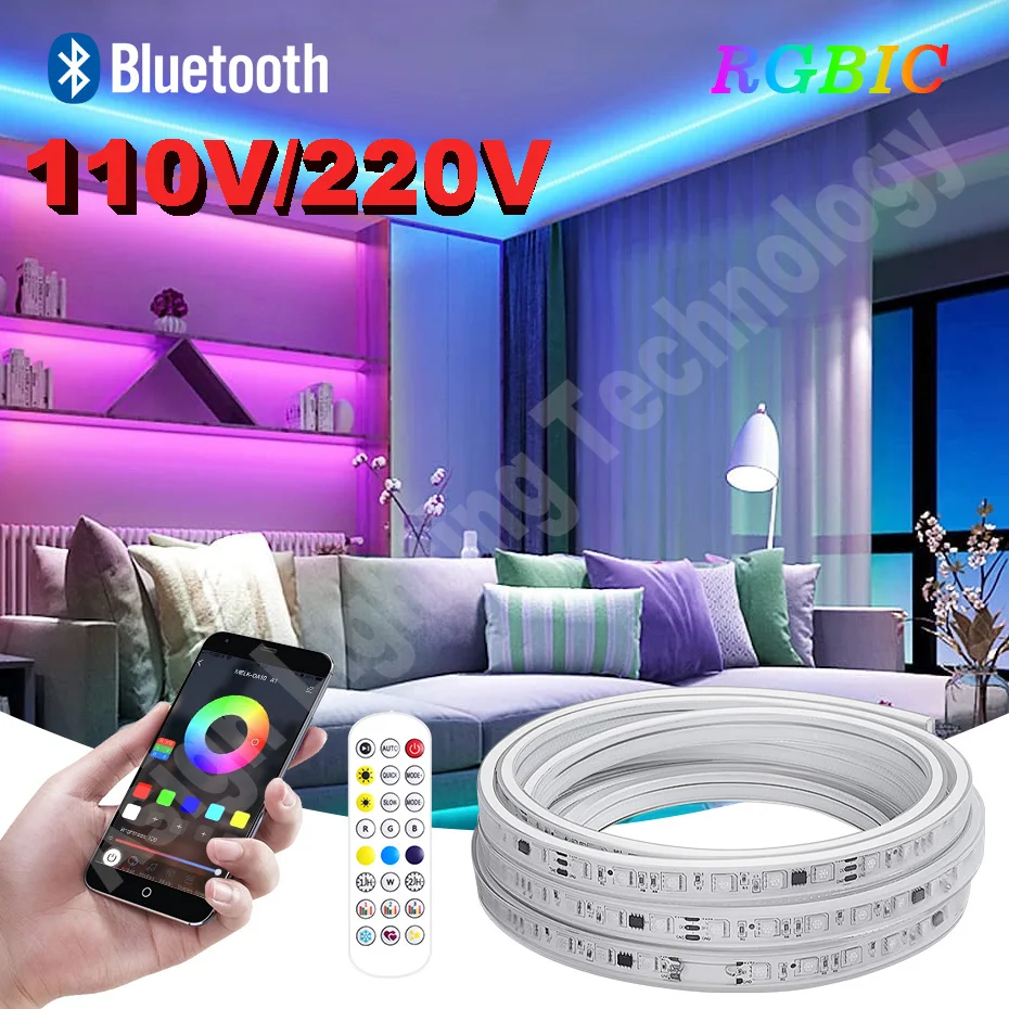 

Smart Bluetooth RGBIC Led Strip Light 110V 220V 5050 Waterproof IP67 Dream Color Rainbow Chasing Effect Flex Tape Strip for Room