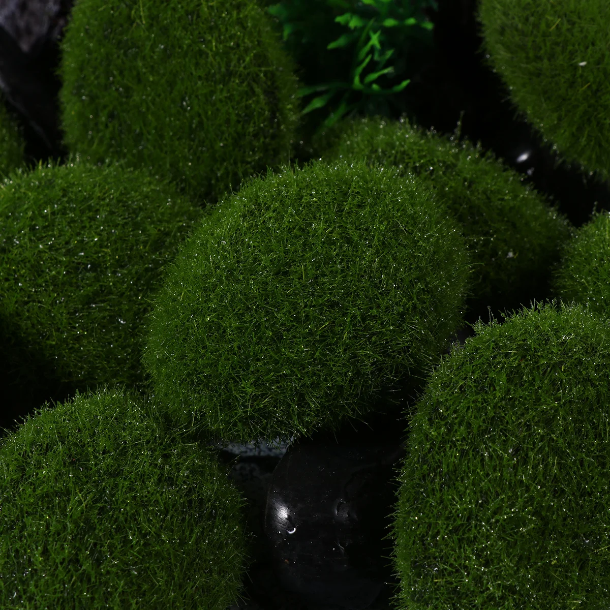 

20pcs Simulation Stone Realistic Craft For Moss Ball Terrarium Aquarium Home Office Shop Decoration Gift Moss Ball