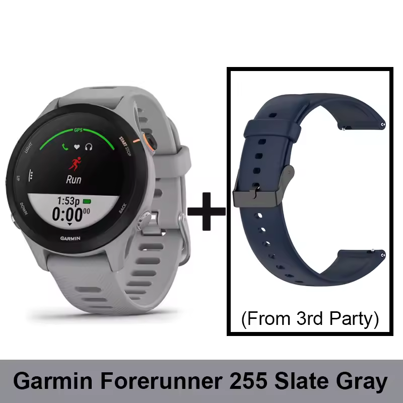 2. 가민 포러너 2..