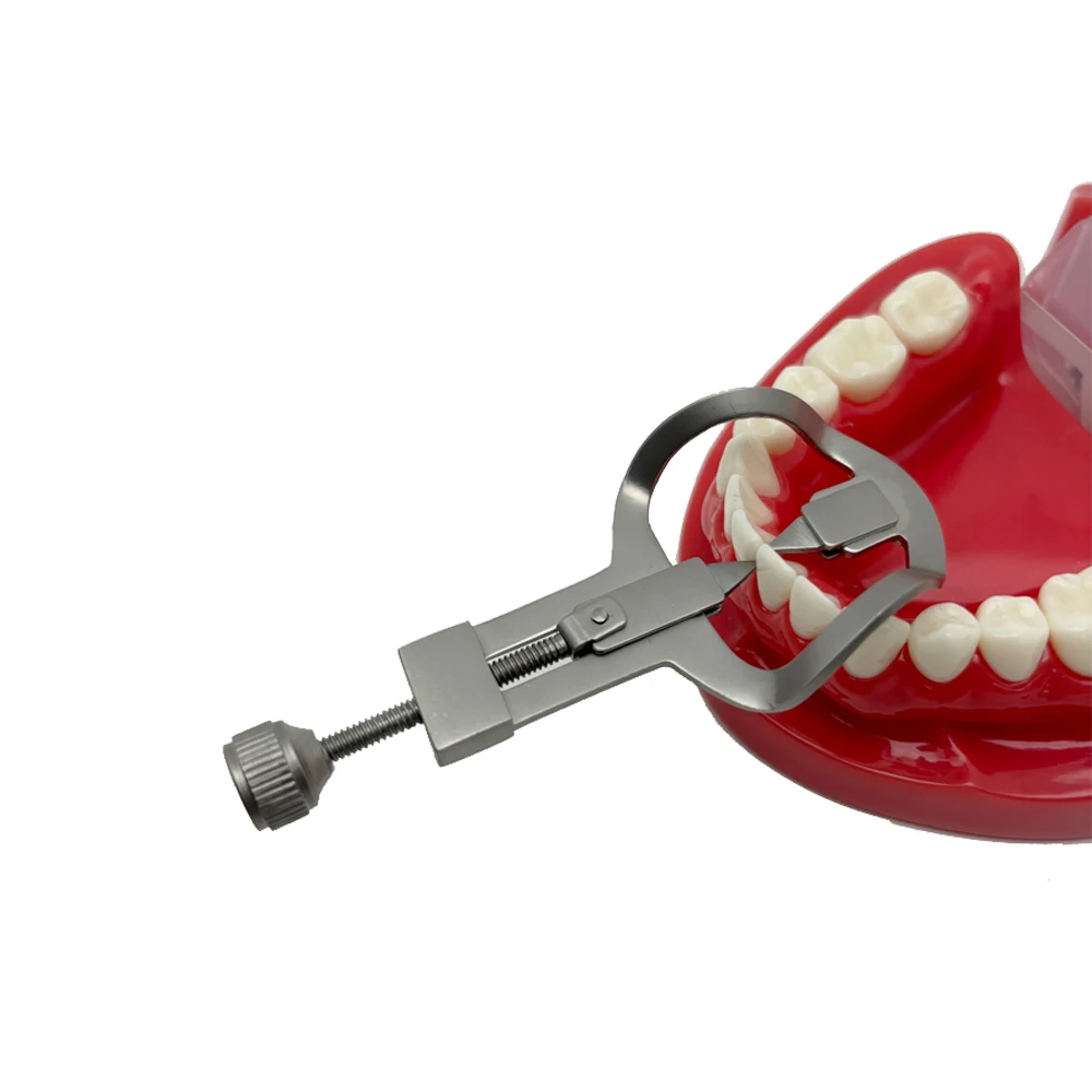 Dental Teeth Separator Tooth Divider Wedges Retainer Anterior Teeth Orthodontic Instrument Matrix Matrice Rubber Dam