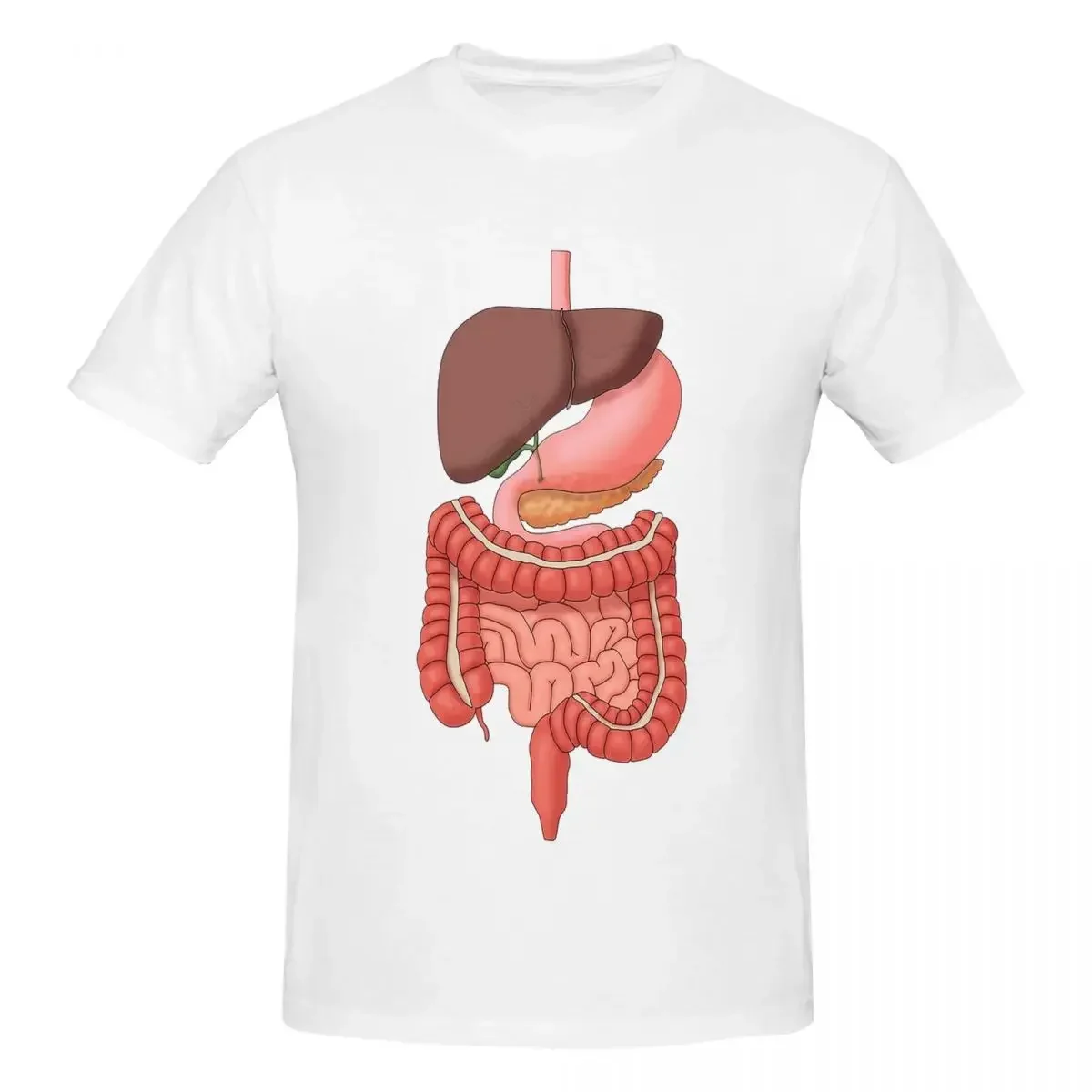 Digestive System Organs, Medical Illustration 100% Cotton T-shirt Men Oversized T Shirts Men crew Neck Short Sleeve S-6XL