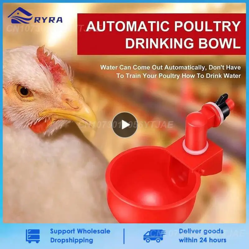 Automatic Chicken Water Cup Waterer Bowl Kit Farm Coop Poultry Waterer Drinking Water Feeder for Chicks Duck Goose Turkey Quail