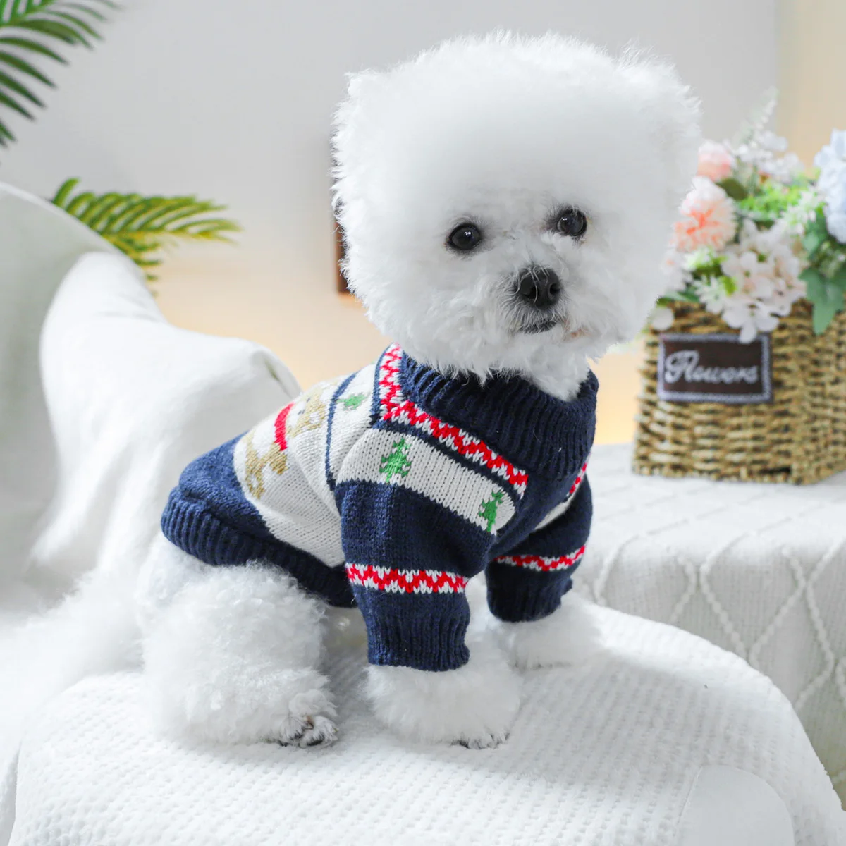 1PC pet clothing dog spring and autumn set of forest bear sweater suitable for small and medium -sized dogs