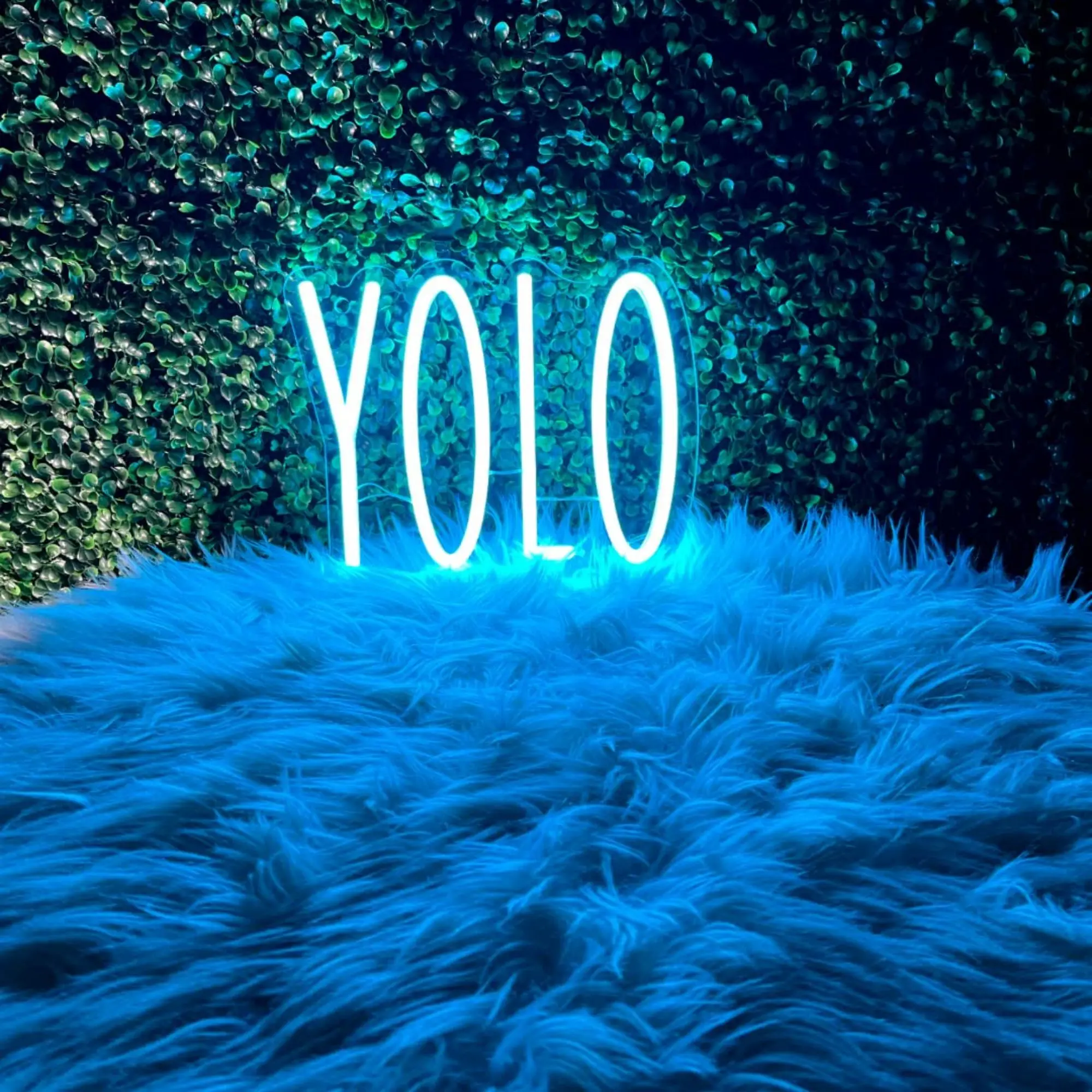 YOLO Neon Sign for Wall Decor LED Sign Neon Lights Signs for Bedroom Wall Ice Blue Room Décor USB Powered with Dimmable Switch