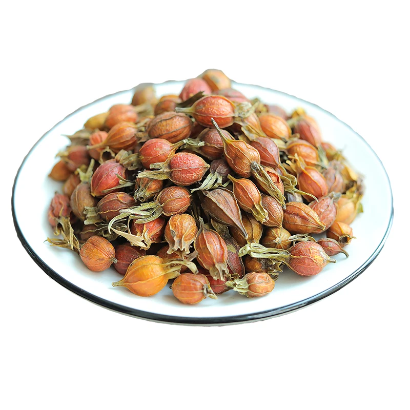 ดอกพุดป่า