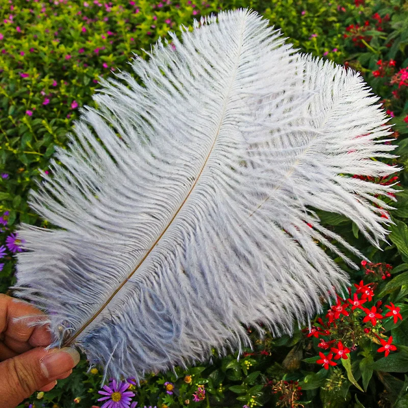 Wholesale 10pcs 20-25cm Ostrich Feather Color Feather Home Decoration Flower Arrangement Wedding Ostrich Feather