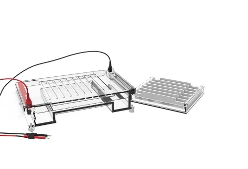 BIOSTELLAR High Quality Agarose Electrophoresis For DNA Gel-Cell Electrophoresis SE-S04 For Lab