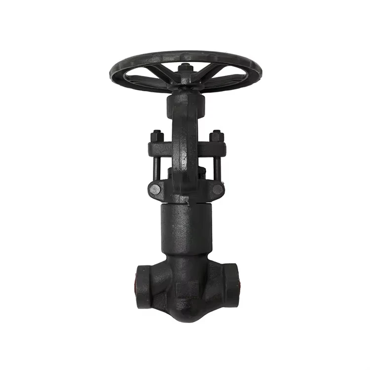 selling well Forged A105  F304 f316 1 inch carbon Stainless Steel Price  Gate Valve