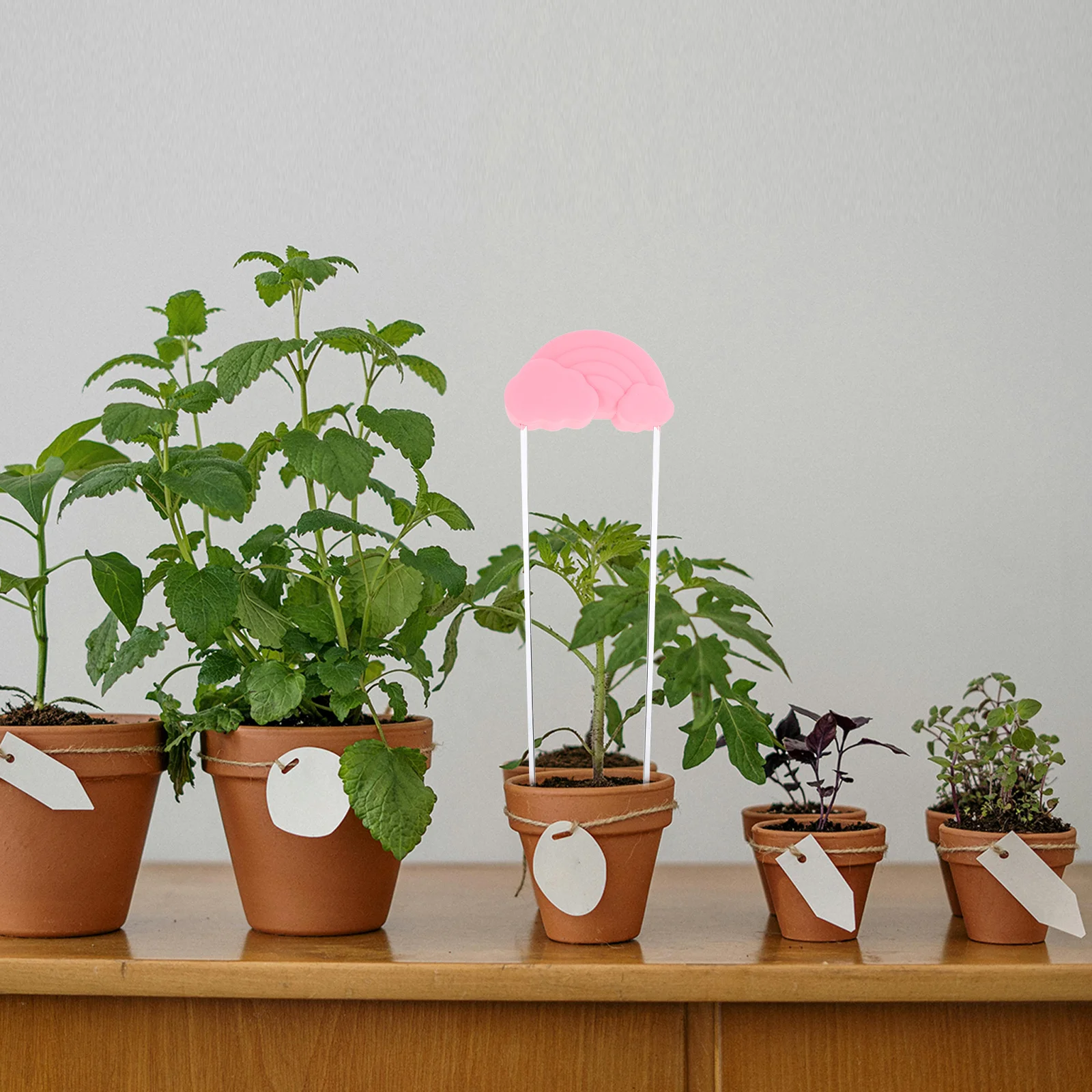 

Silicone Rainbow Plant Waterer Rainbow Colored Succulent Watering Tool Balcony Bonsai Self Watering Spike Planter Waterer