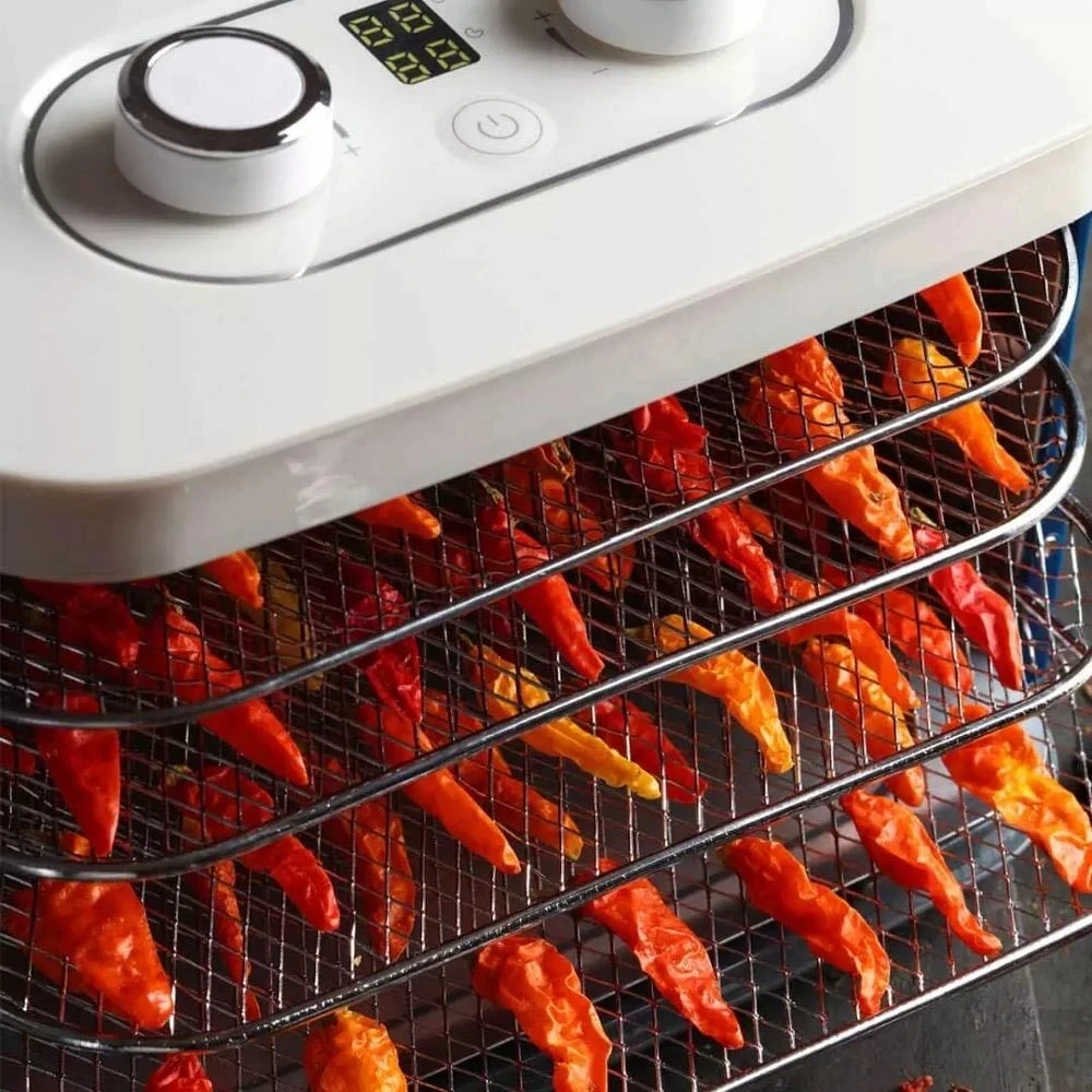 MORPHY RICHARDS 4 Layers Food Dehydrator MR6255 Fruit Drying Machine Household Vegetables Meat Dryer Pet Snack Stainless Steel