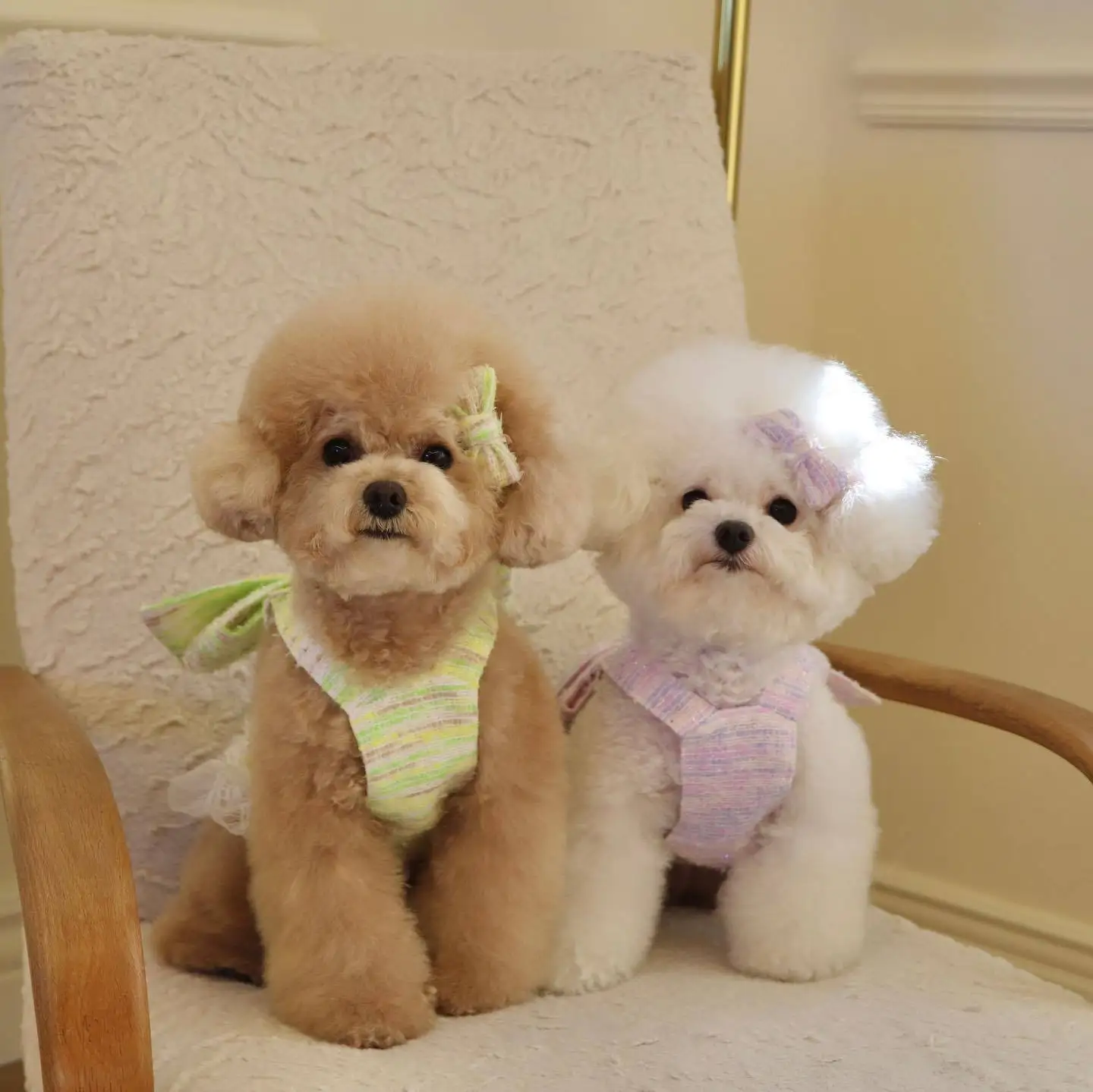 Cute Dog Clothes Elegant Suit Spring Pet Clothes Cute Puppy Clothes Bowknot Skirt Green Durable Clothes Suspenders Dog Costume