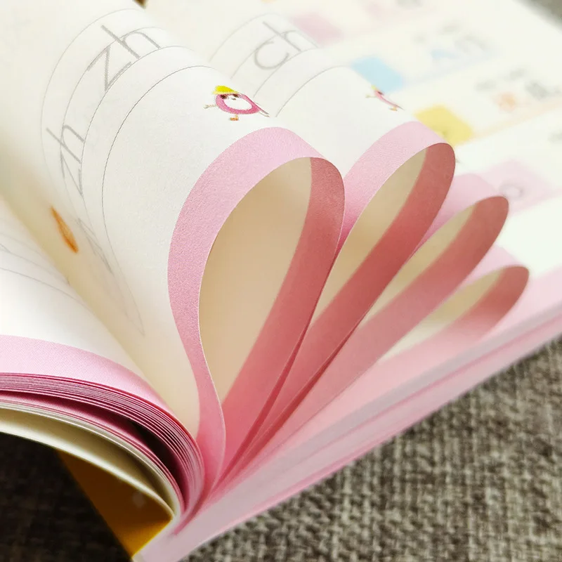 Learning Pinyin: Early Childhood Education, Specialized Training in Chinese Pinyin