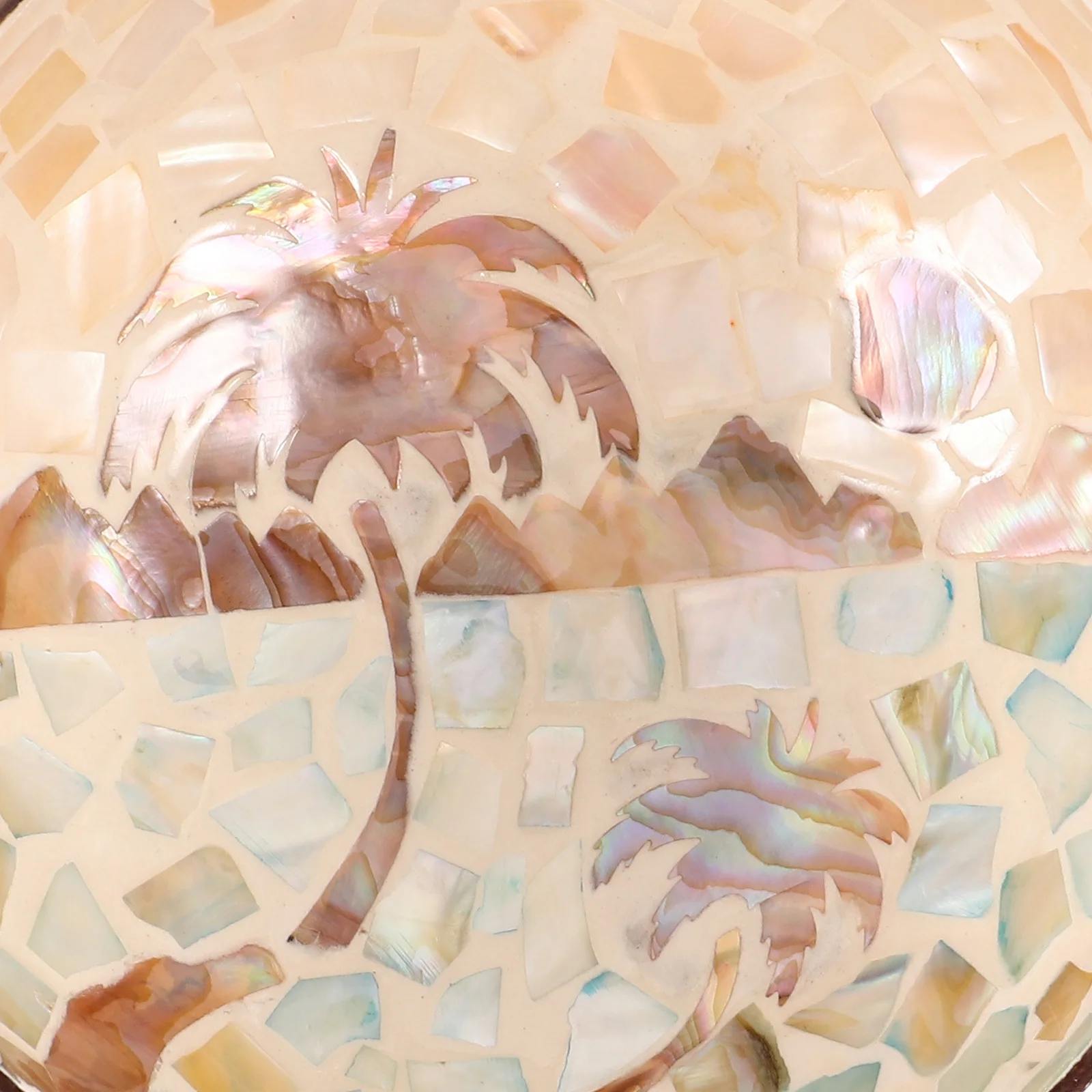 

Natural Coconuts Bowl Unique Pattern Multi-Purpose Salad Fruit Storage Household Decoration Key Bowl for Entryway Table