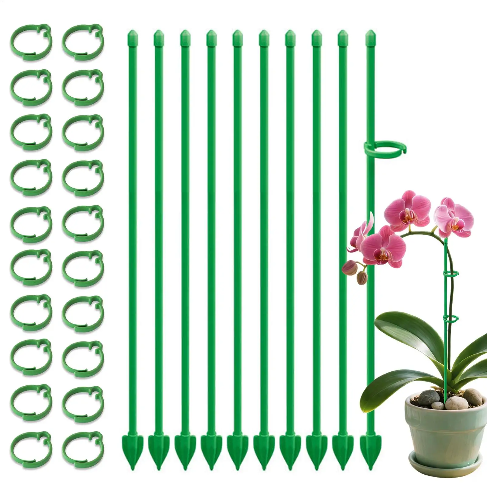 Plant Support Stakes Adjustable Single Stemmed Plant Support Hoops with Ring Garden Single Stem Amaryllis Plant Stake for Indoor