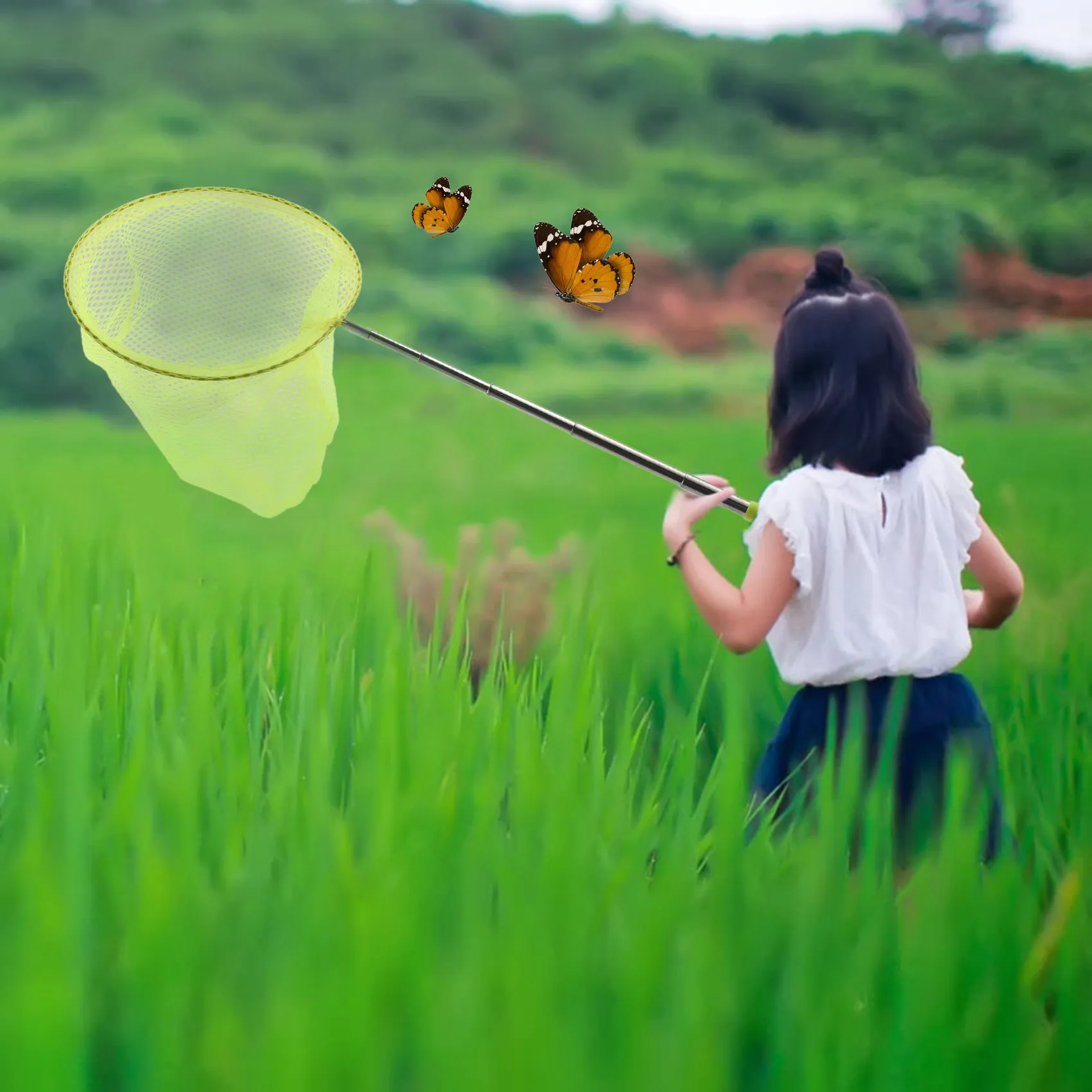 Red de pesca telescópica de acero inoxidable para atrapar mariposas al aire libre, herramienta portátil telescópica para exteriores