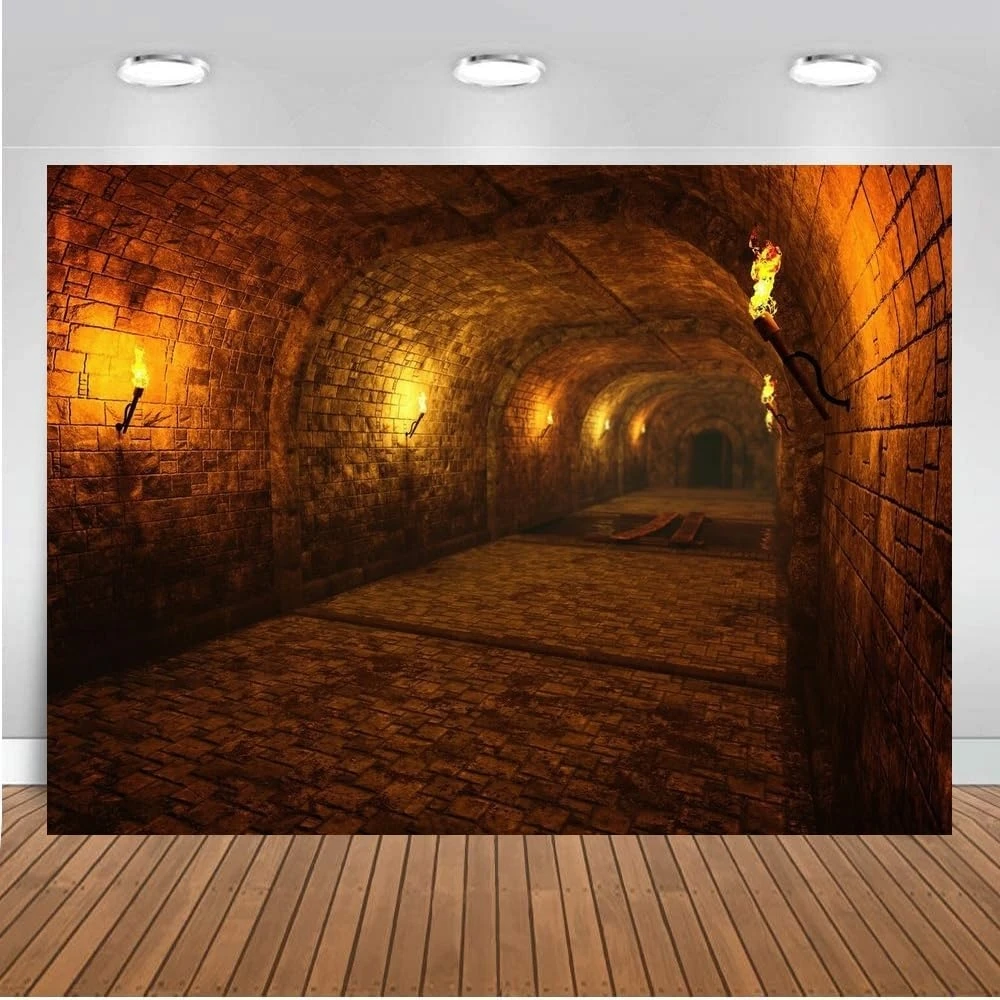 Dark Medieval Castle Dungeon Tunnel Gamer Game  backdrops computer print birthday Photography Studio Backgrounds