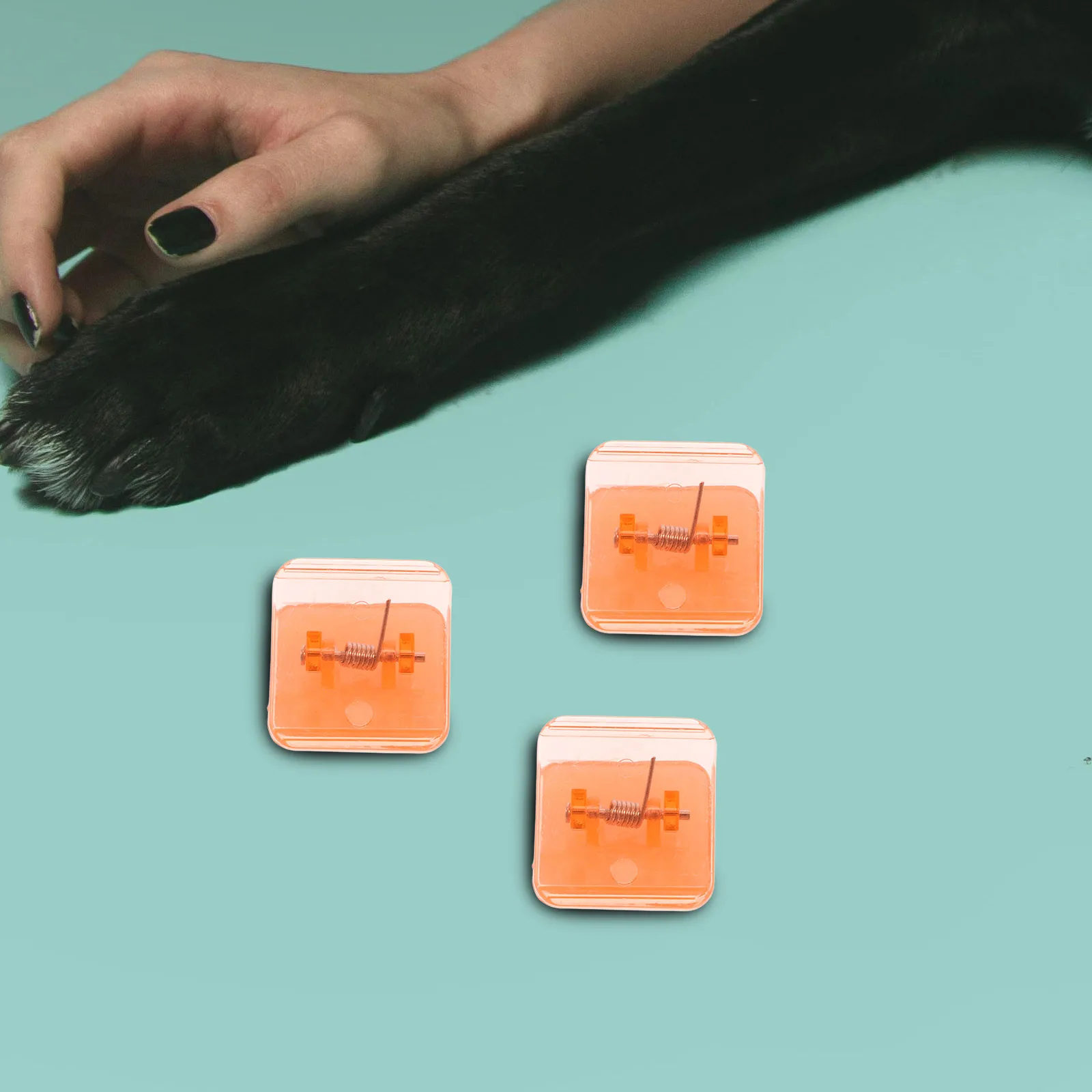 

6Pcs Wall Bracket Light Arc-Edged Semi I-Beam Stable Mounting Plate for Indoor Outdoor Ceiling Fixture Light Holder Kit