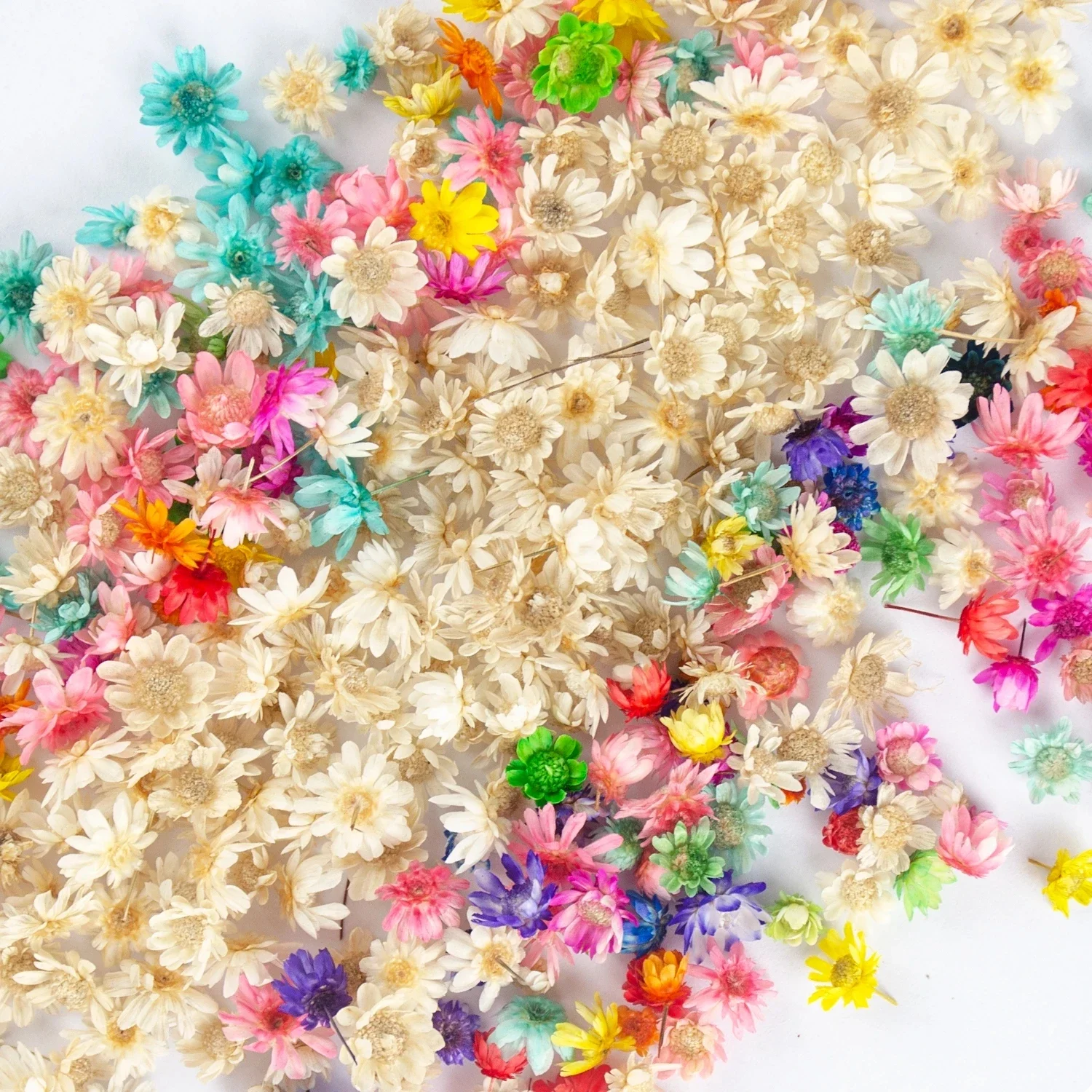 100/200PCS Dried Flowers Brazil Little Star Flower DIY Craft Epoxy Resin Candle Nail Art Epoxy Resin Filling Making Jewellery