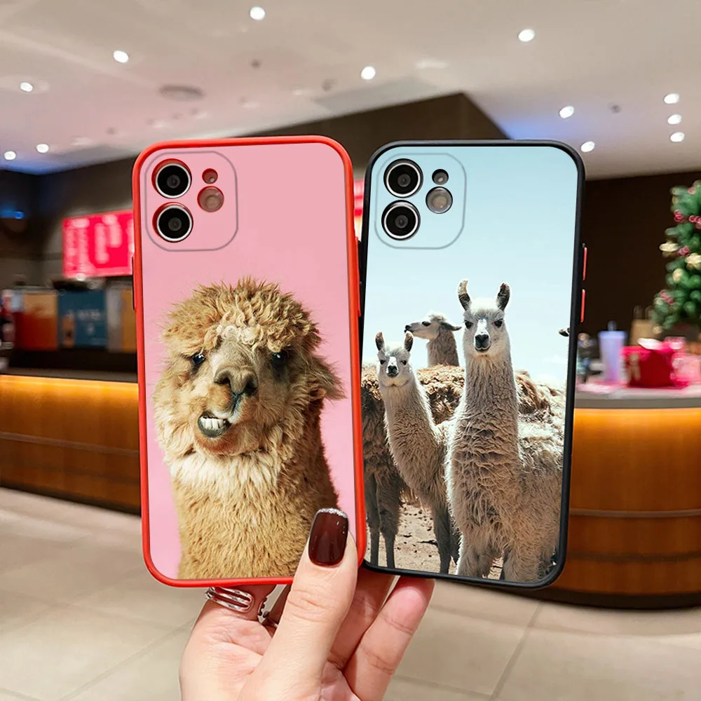 Phone Case For iphone 16Pro 7 8 Plus 15 14 13 Mini 12 11 16 ProMax SE XR Cute Alpaca Llama Sheep Matte Frosted Translucent Cover