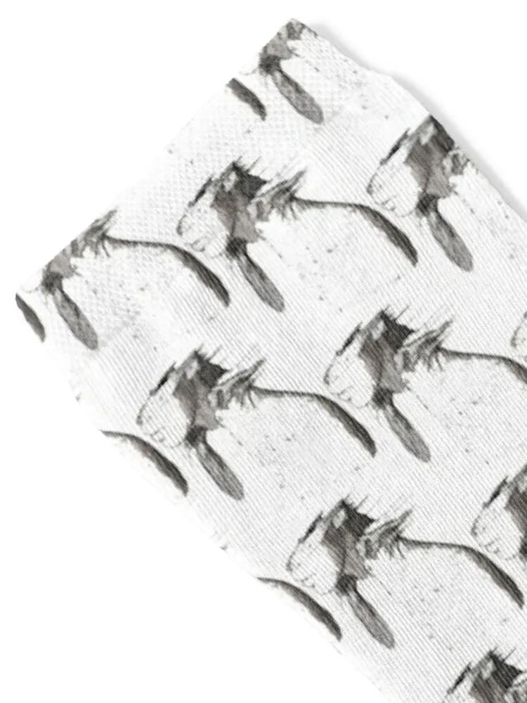 A Rush of Blood Socks gift tennis Toe sports Wholesale Designer Man Socks Women's