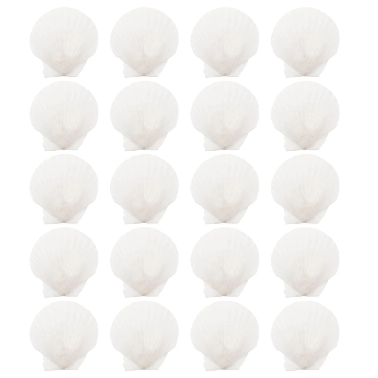 20Pcs Natural White Scallop Shells 3.15-3.54inch Seashells for Crafts DIY Painting Wedding Beach Theme Decor Vase Filler