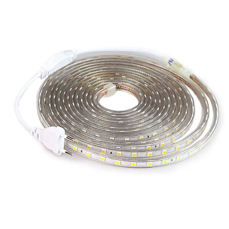 Tira de luz led flexible impermeable con enchufe para luz, SMD, 5050, AC220V, 60 leds/m, 1, 2, 3, 5, 6, 8, 9, 10, 15, 20m