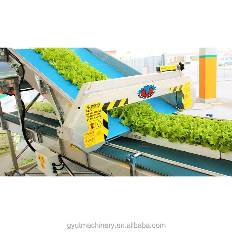 Small capacity bean sprouts harvester coffee bean washing harvester  machine with lowest price (wechat:008618236968979)