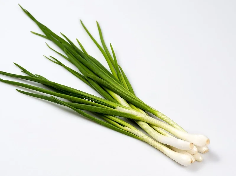 Samen Zwiebel sieben Jahre alten Baikal 3g mehr als 900 Samen