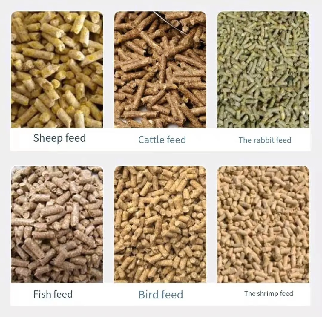 新型220V金属製高生産性100kg/h飼料顆粒製造機（農業用動物飼料ペレット製造プラント向け）