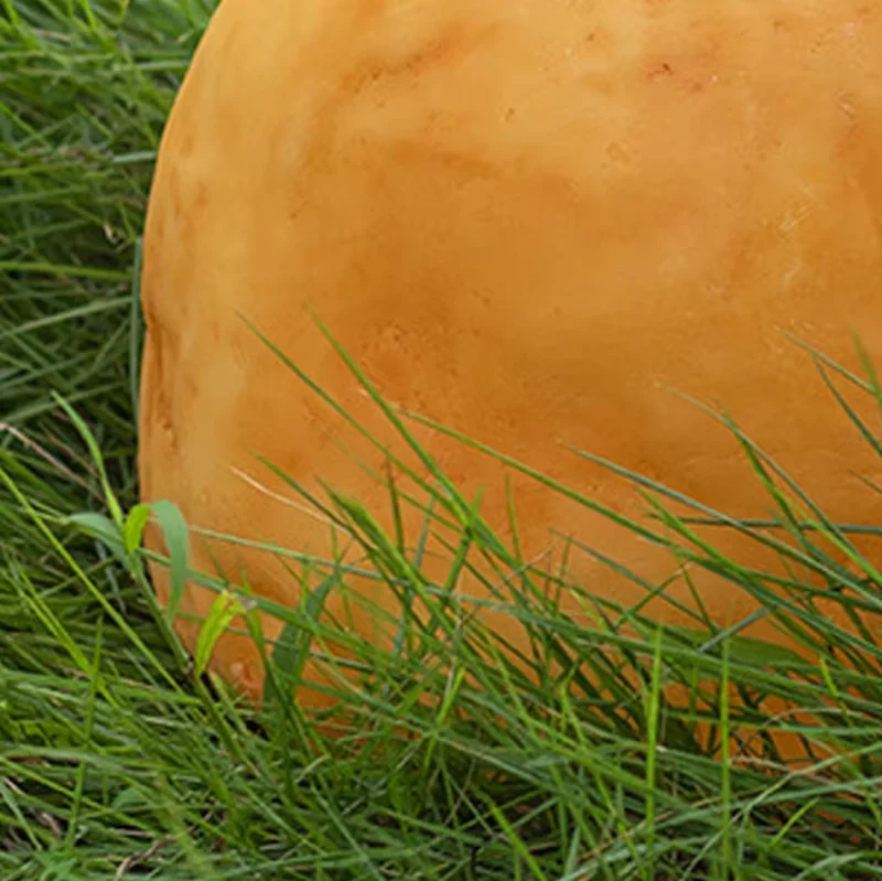 تقليد الحجر الديكور حديقة الفناء الخلفي الصخور مصابيح إضاءة للمناظر الطبيعية العقارات فيلا بارك مصباح حديقة خارجي #6