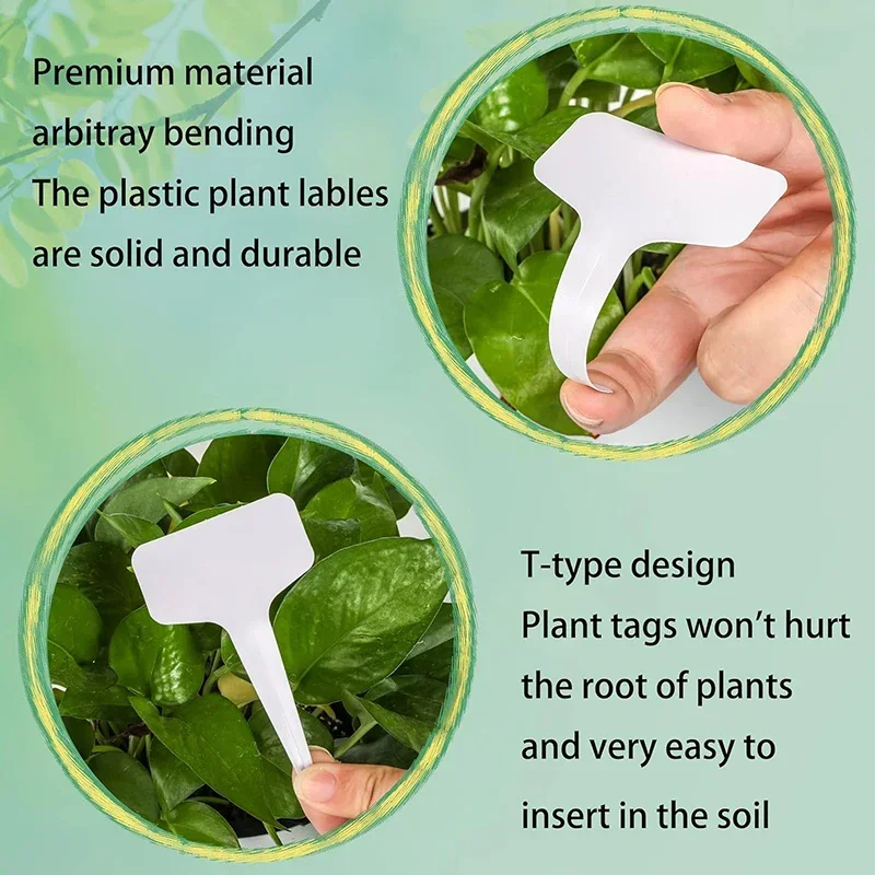 50 шт. Т-образные маркеры для этикеток для растений, водонепроницаемые ПВХ, садовые растения, классификация, сортировка, знак, бирки, маркеры для детских растений, этикетка