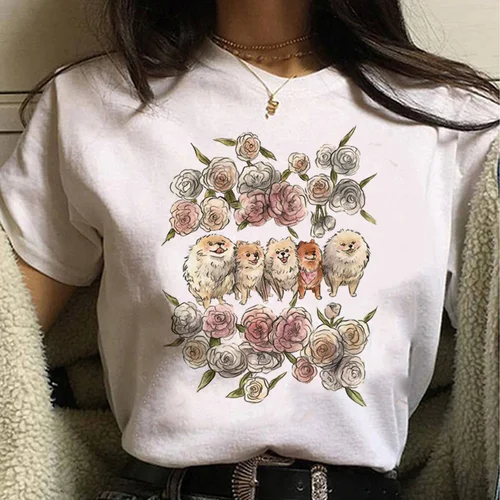 포메라니안 