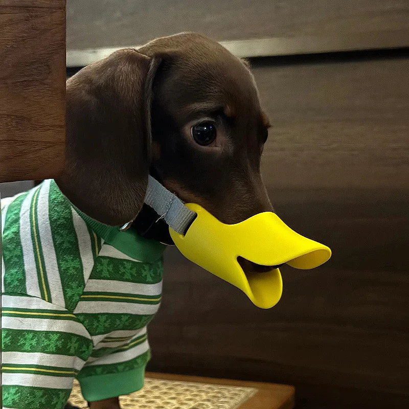 

Dog Anti-bite Duck Bill Cover Anti-indiscriminate Eating Barking Medium and Small Dogs Dachshund Dogs Can Drink Water