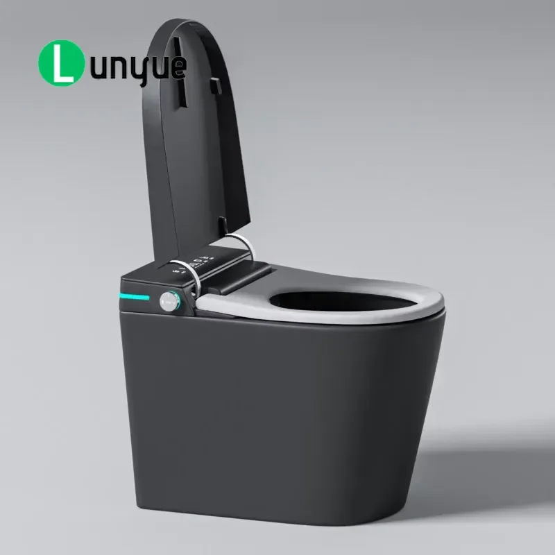 Design Black Automatic Smart Toilet Instant Hot Water Remote Control Seat Heating Floor to Ceiling Small Bathroom WC