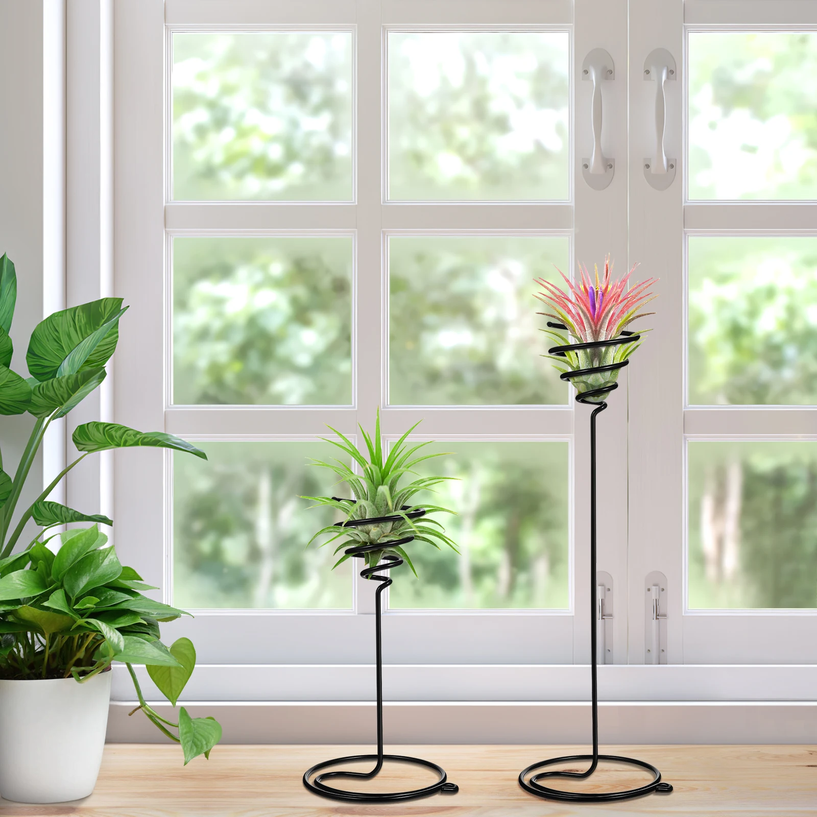 

3pcs Air Plant Holder Metal Sturdy Spiral Flower Stand Display Rack Long Service Life Home Office Decor Tillandsia Container