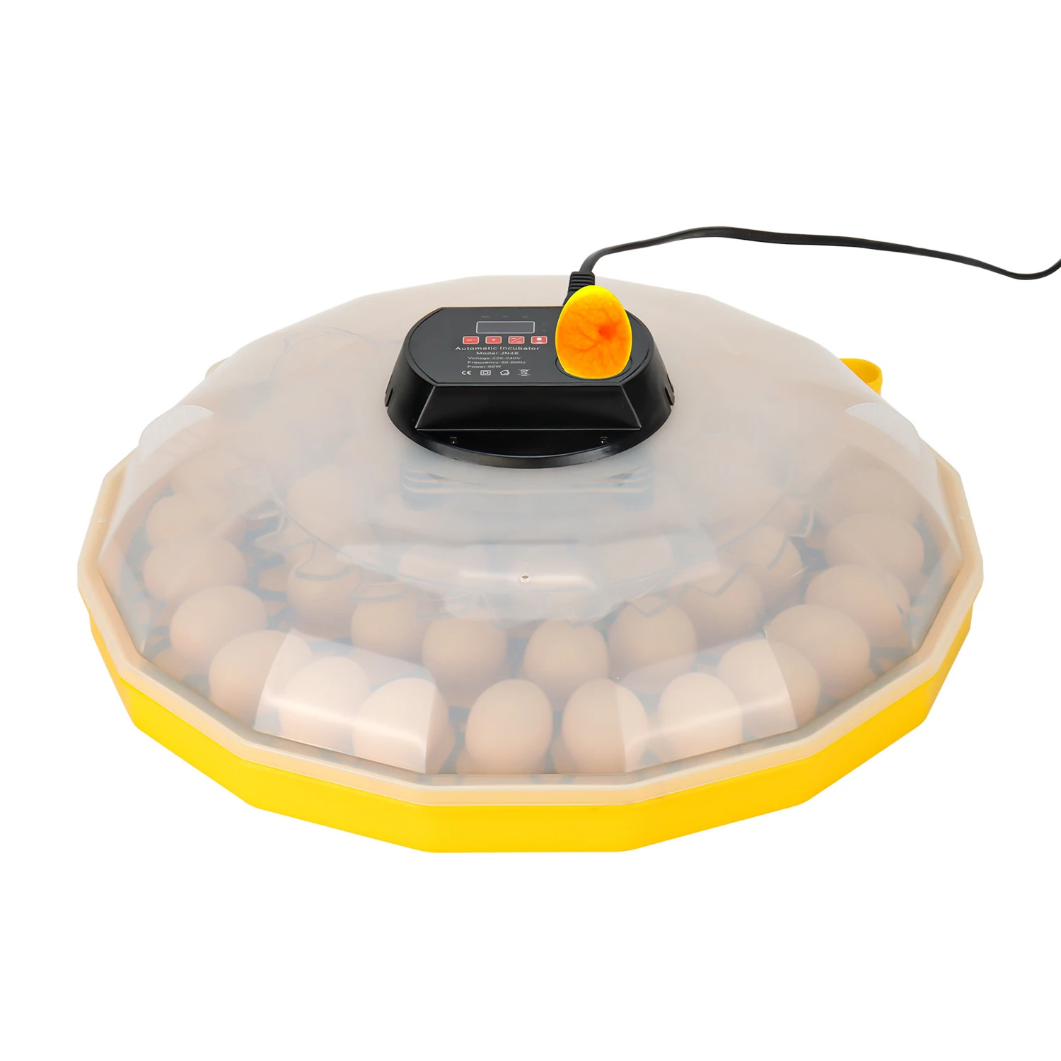 Quail Egg Incubator - Mini Egg Incubator with 99% Hatching