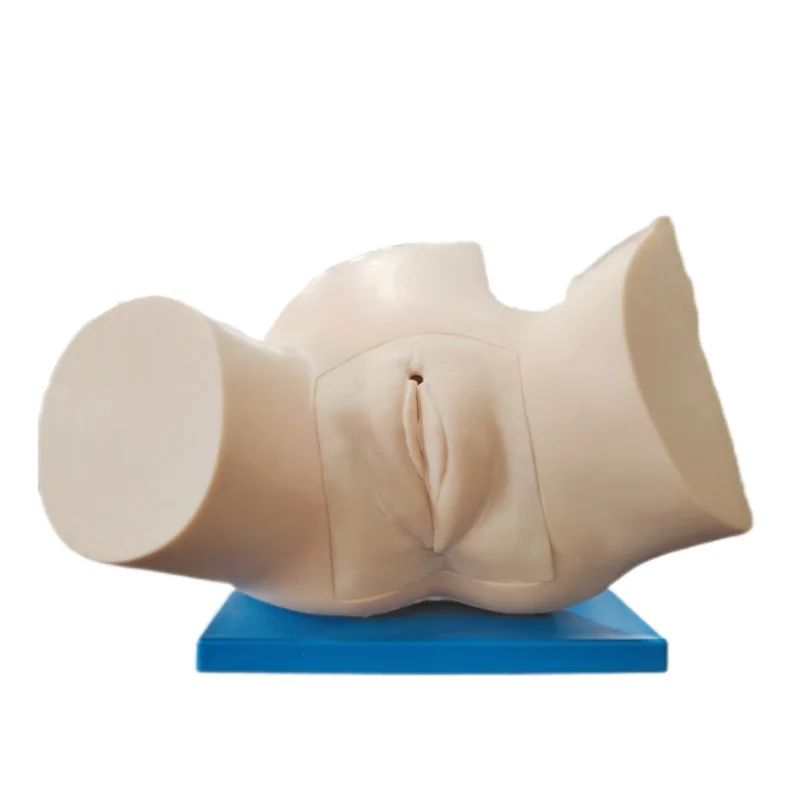 Model Pengajaran Keterampilan Pengiriman Obstetri Model Maneuver Leopold DARHMMY